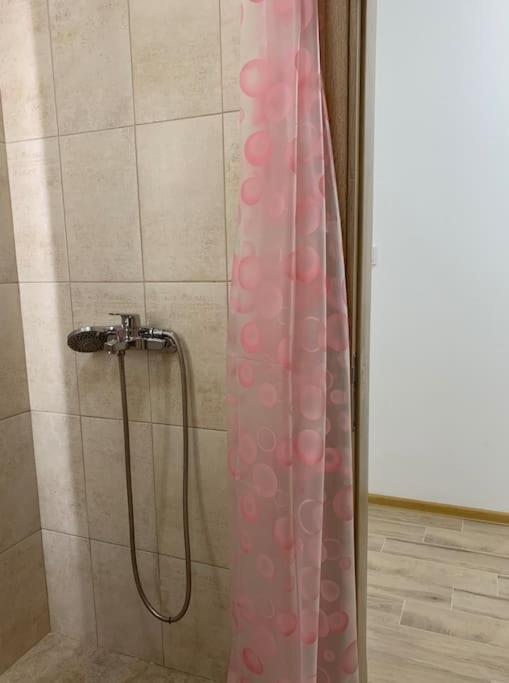 Rowing Base Apartment Plovdiv Kültér fotó